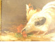 4 HSP paintings hens fighting cocks farmyard henhouse gilded frame 19th century