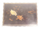 Jewelry box made of lacquered wood with gilding, birds, cranes, flowers, Japan, 19th century