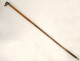 Antique cane with silver-plated metal handle and greyhound dog head, wooden shaft, 19th century