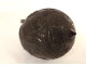 Powder flask, coconut shell, Napoleon profile, war attributes, helmet, 19th century
