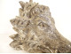 Sculpture of a boar&#39;s head, hunting trophy, silvered bronze, early 20th century