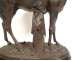19th century terracotta sculpture of a thoroughbred racing horse, animal stallion