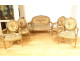 Louis XVI drawing room, armchairs, sofa, gilded wood, Aubusson tapestry, Napoleon III, 19th century