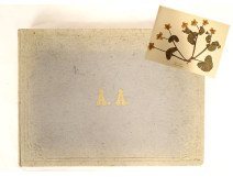 Antique herbarium of plants, flowers, daffodils, cruciferous plants, and hyacinths (20th century)