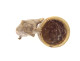 Small bronze match holder/pitonner in the shape of a cat in a barrel, signed 19th century