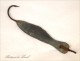 Cod Fish hook Newfoundland Folk Art 19th