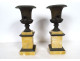 Pair of Medici marble cassolettes with Siena bronze lion vases, 19th century Restoration period
