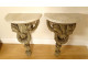 Pair of wall-mounted consoles/pedestals in carved wood and white marble, 18th century