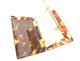 Cigarette case, notebook, ballroom purse, tortoiseshell with gold trim, Napoleon III style, 19th century