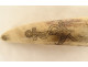 Scrimshaw, walrus tooth, ivory, marine engraving, fishing, sperm whale, anchor, fisherman, 19th century