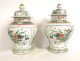 Pair of covered Chinese porcelain pots/jars, famille verte style, with flowers, 19th century