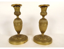 Pair of small Louis XVI style gilt bronze candlesticks with grape flowers, 19th century