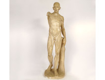 Large plaster sculpture, Houdon's workshop, flayed nude man, 19th century