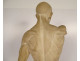 Large plaster sculpture, Houdon's workshop, flayed nude man, 19th century