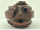 Snuffbox, corozo, musician, flowers, grotesque head, sailor, convict, 19th century