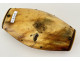 Snuffbox, carved horn box, sailor's work, convict, Folk Art, 19th century