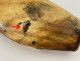 Snuffbox, carved horn box, sailor's work, convict, Folk Art, 19th century