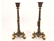 Pair of gilt bronze candlesticks with salamander lizards, Barbedienne style, Napoleon III period, 19th century
