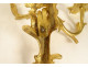 Pair of Regency 2-light gilt bronze wall sconces with crowned foliage motif, 18th century