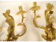 Pair of Regency 2-light gilt bronze wall sconces with crowned foliage motif, 18th century