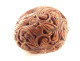 Small reliquary holder carved with walnut, flowers, and foliage, 19th century