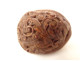 Small reliquary holder carved with walnut, flowers, and foliage, 19th century