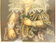 Watercolor portrait of Princess Eleanor of Mantua by Emile Bourquelot, 19th century