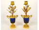 Pair of Louis XVI style candlesticks, blue crystal vases, gilt bronze, pink flowers, 18th century