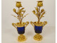 Pair of Louis XVI style candlesticks, blue crystal vases, gilt bronze, pink flowers, 18th century