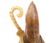 Small wooden sculpture of a Saint Bishop with a crosier and mitre, 19th century