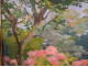 HSC painting Henry Vollet Breton woman knitting hydrangea flowers Brittany 20th century