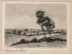 English Countryside Landscape etching 19th Collinson