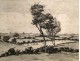 English Countryside Landscape etching 19th Collinson