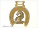 Golden Horse Brass Brass Iron Horse 19th England