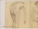 Naked Women Studies Sketchings Colarossi 20th