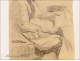 Female Portrait Drawing Studies Colarossi 20th