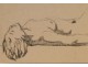 Naked Woman Drawings Study Model Laigneau Villeneuve Wallpaper Dumas
