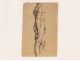Naked Woman Drawings Study Model Laigneau Villeneuve Wallpaper Dumas