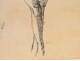Naked Woman Drawings Study Model Laigneau Villeneuve Wallpaper Dumas