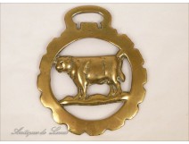 Horse Brass Brass Golden Horses Beef England 19th