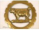 Horse Brass Brass Golden Horses Beef England 19th