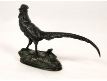 Bronze sculpture with green patina cock pheasant pheasant nineteenth century