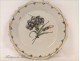 Earthenware plate Nevers, Flower Carnation, eighteenth