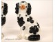 Pair of Staffordshire earthenware dog nineteenth