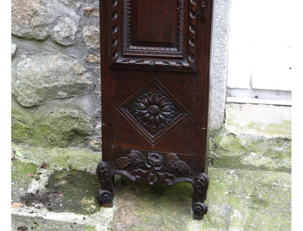 Grandfather Clock Norman SaintNicolas carved oak flowers birds