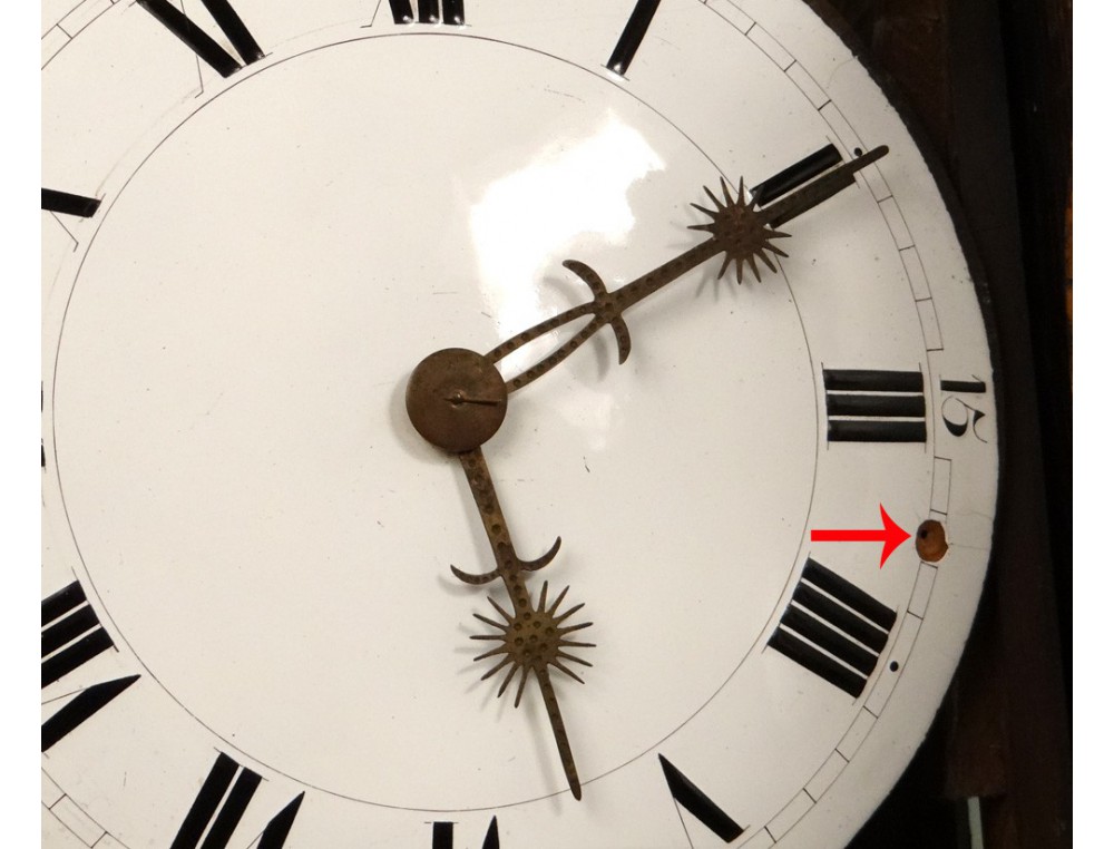 Grandfather Clock Norman SaintNicolas carved oak flowers birds