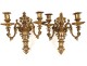 Pair Regency gilt bronze wall sconces flowers shells nineteenth century