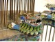 Cage crickets cloisonné enamels ancient Chinese dragons french enamel nineteenth