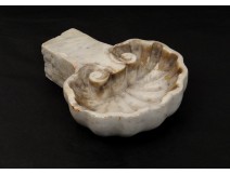 Clam shell white marble antique french eighteenth century are