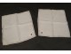Pair old linen napkins placemats Métis embroidery flower french mat twentieth